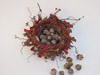 Tiny Acorn Nest with Acorns Fiber Art