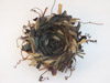 Tiny Gold Fleck Nest Fiber Art